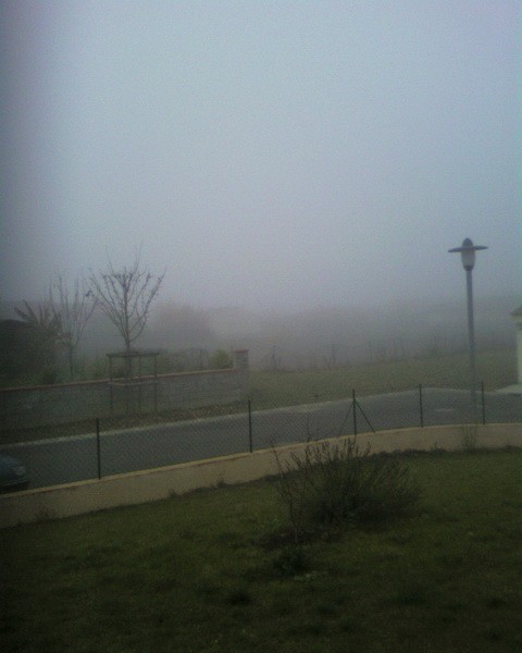 Brouillard.jpg