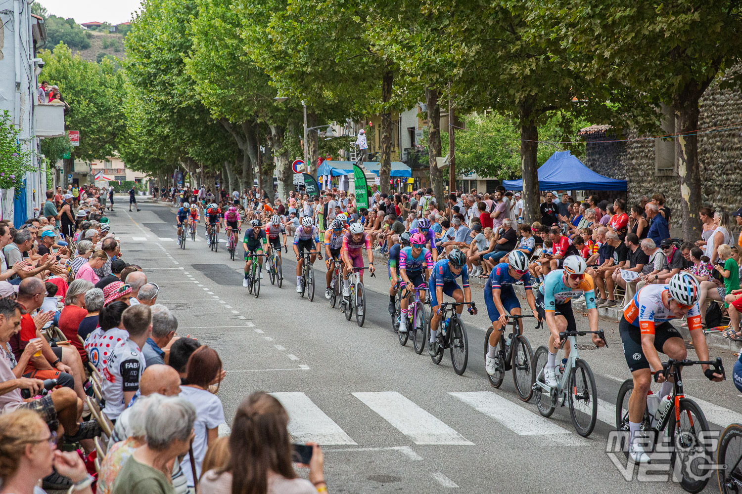 Criterium Quillan 2026
