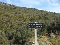 Col-Feuilla.jpg