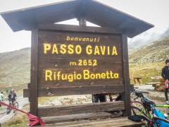 Gavia-001.jpg