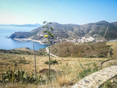 Sortie-velo-16-07-2014-004.jpg