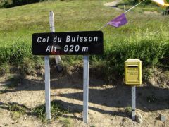 Buisson.jpg